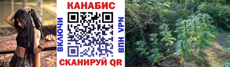 купить наркоту  блэк спрут tor  Конопля индика  Разумное 
